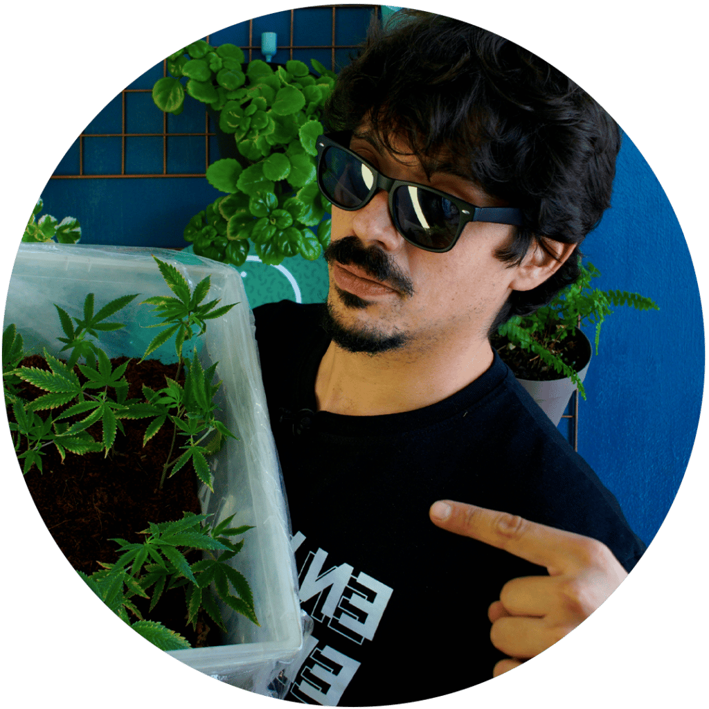 ddc3