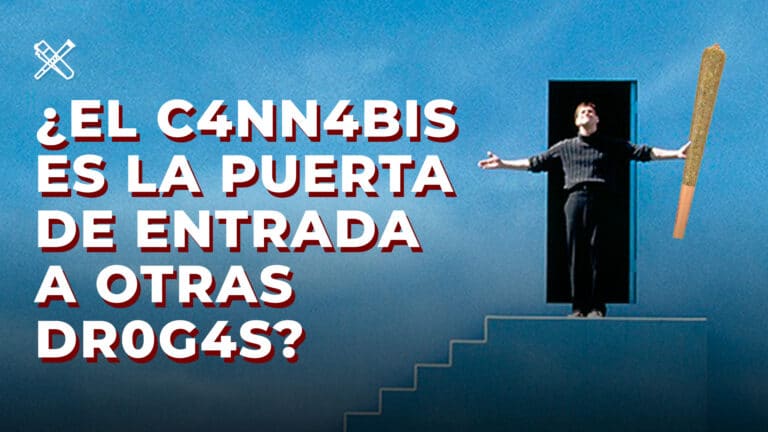 La puerta de entrada a otras drogas