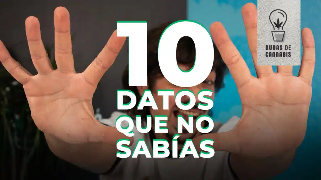 Curiosidades sobre el cannabis