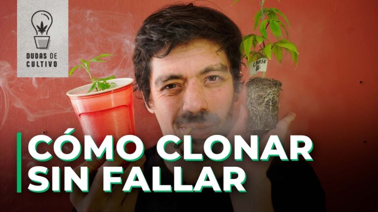OBTÉN CLONES SIN FALLAR