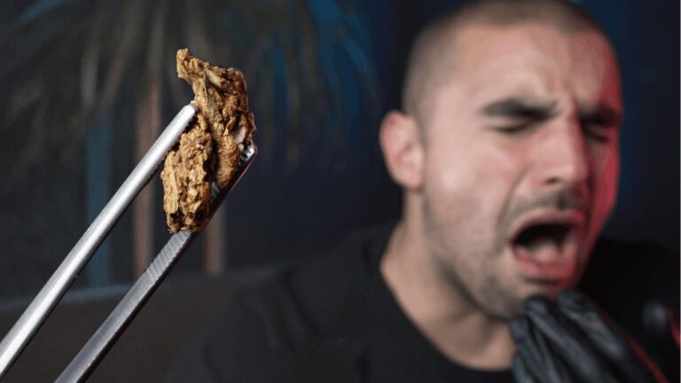 ¿MI MARIHUANA TIENE HONGOS?