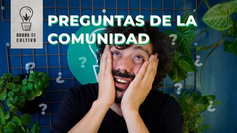 PREGUNTAS DE LA COMUNIDAD