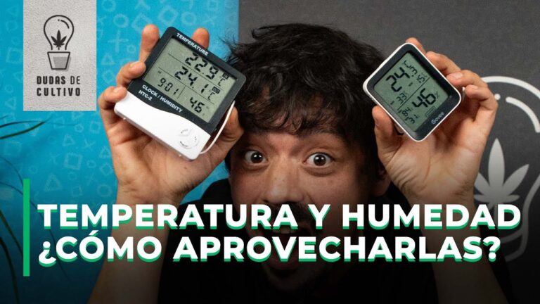 VPD TEMPERATURA Y HUMEDAD ¿CÓMO APROVECHARLAS?