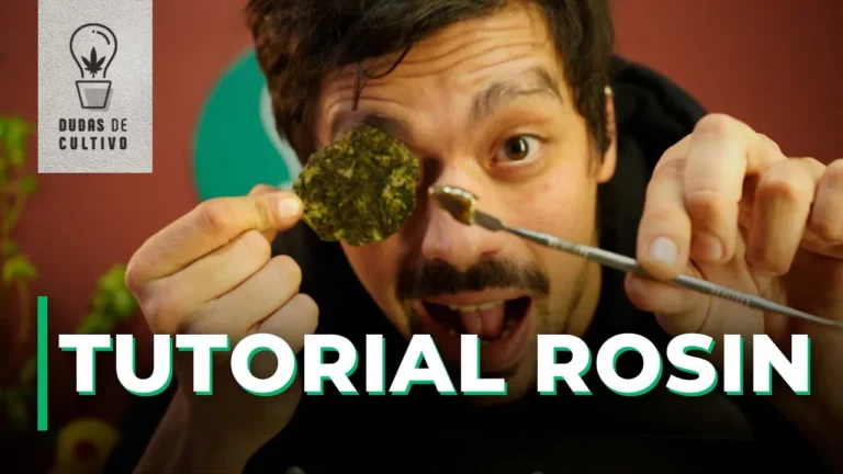 TUTORIAL ROSIN