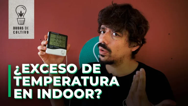 7 TIPS PARA LIDIAR CON AMBIENTES CALUROSOS