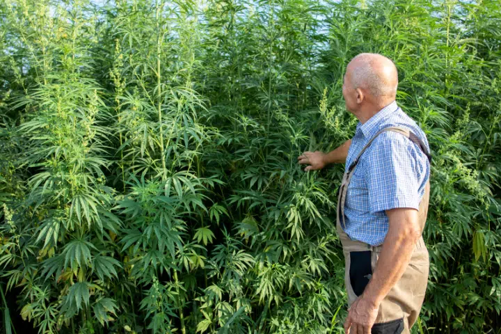 Pichilemu Wild ¿Qué estas consumiendo?