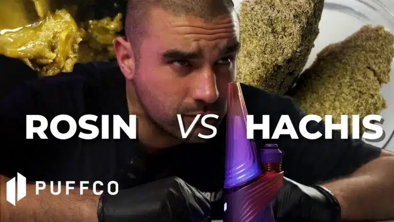 Pusimos Rosin y Hachís a prueba.