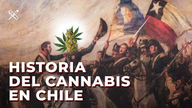 LA HISTORIA DEL CANNABIS EN CHILE